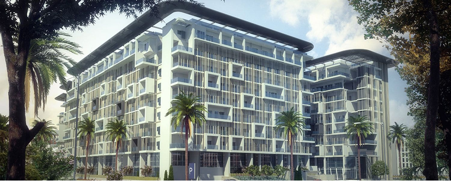 Oasis 1